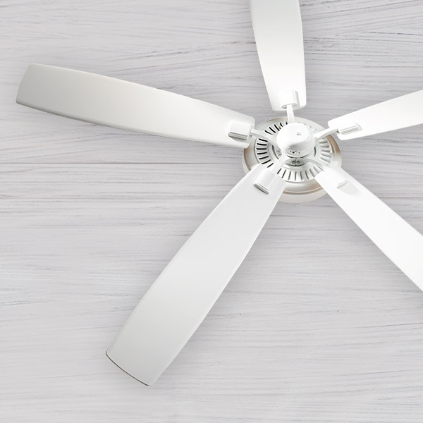 Deal Days Ceiling Fan