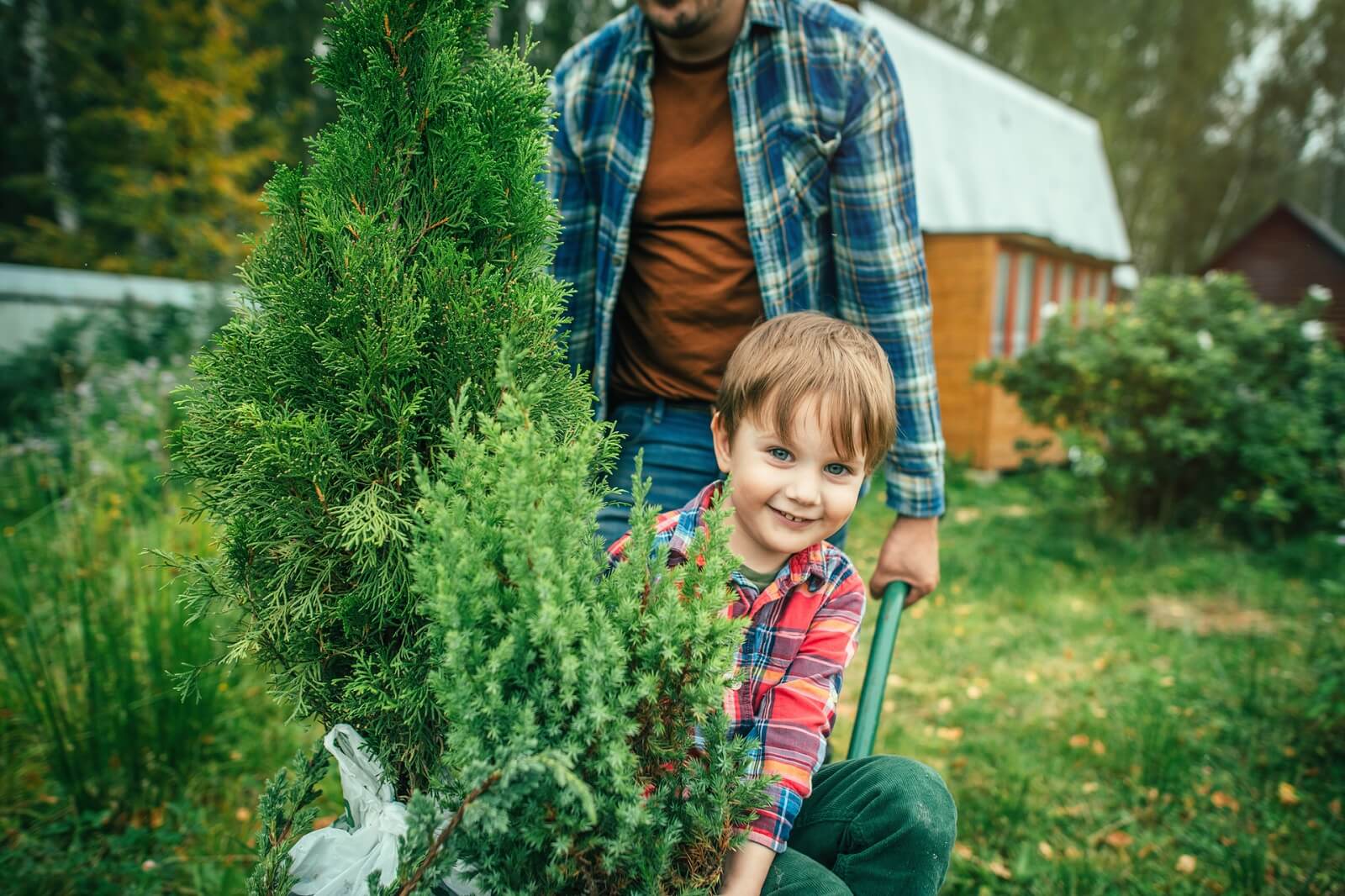 Father and son planting a tree.