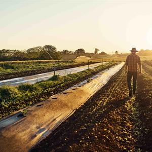 Image of a farmer in his field