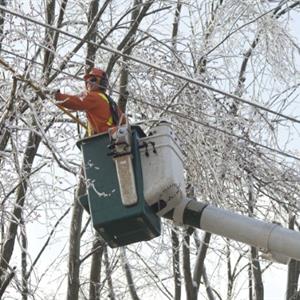 Image of a Hydro One employee fixing power lines from a winter storm